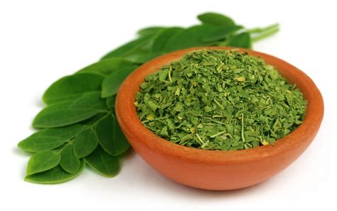 Moringa, il nuovo superfood - Nutraceutical Solutions