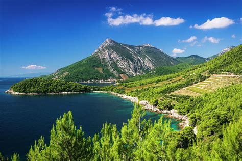 The Village Of Trstenik On The Peljesac Photograph by Russ Bishop - Fine Art America