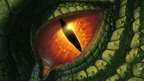 Dragon Eye Wallpapers - Top Free Dragon Eye Backgrounds - WallpaperAccess