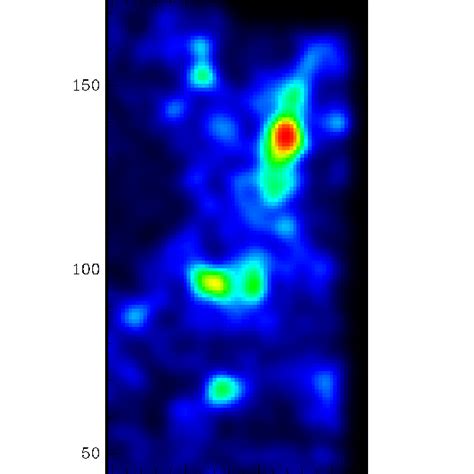 A guided tour in the Shapley Concentration Supercluster: optical