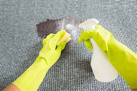 Seven DIY Rug Cleaning Tips to Make Your Rugs Look Like New