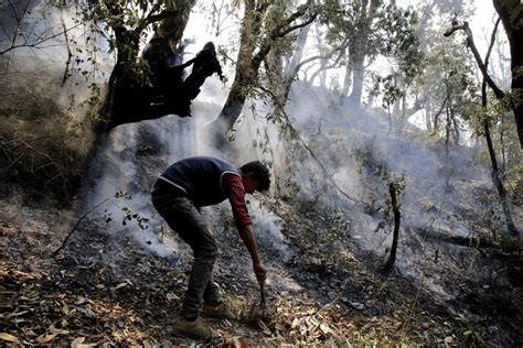 What’s causing untimely forest fires in Kashmir? Prolonged dry spell