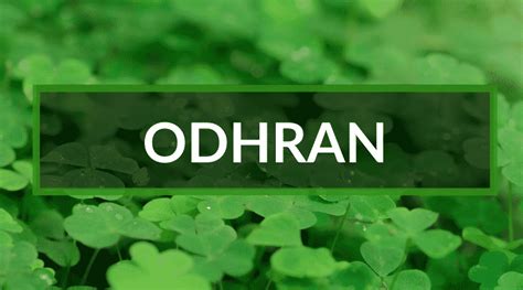 Top 20 ADORABLE GAELIC IRISH boy names you will love