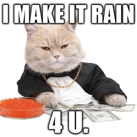 20 Make It Rain Memes That'll Make You Look Cool - SayingImages.com