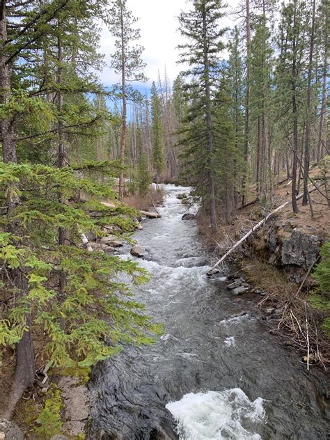 McKenzie River Trail | FivePine