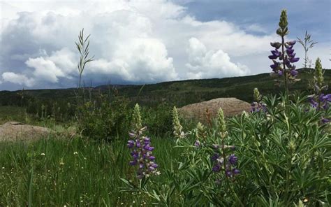 Boulder Mountain | Utah.com