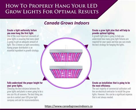 How To Properly Hang Your LED Grow Lights For Optimal Results