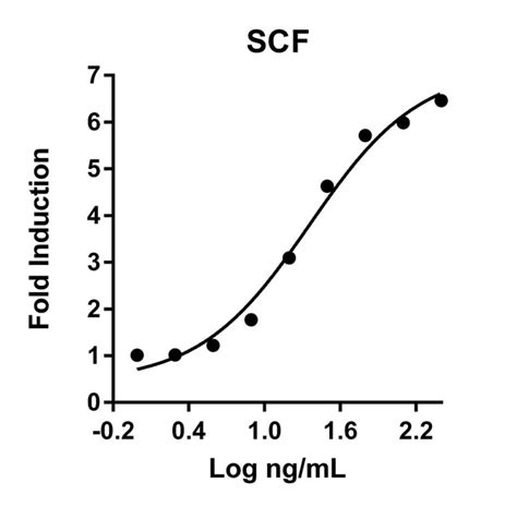 Proteintech™ HumanKine™ Recombinant Human SCF Protein Recombinant Human SCF Protein, Quantity ...