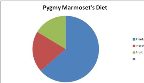 Diet - Pygmy Marmoset