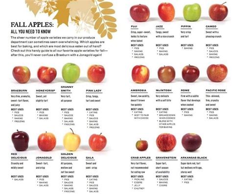 Pin by debbie baldwin on FOOD - Apple Recipe (Extra's) | Apple varieties, Fall apples, Raw vegan ...