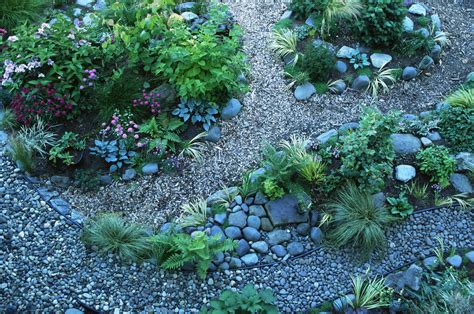 Rock Garden Design - What to Know, What to Grow