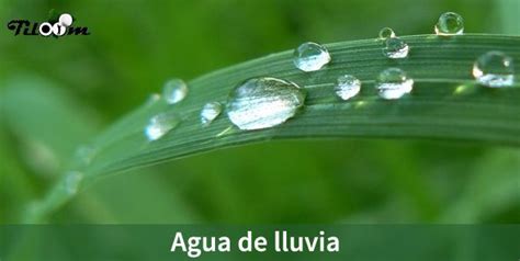 Agua de Lluvia - Tiloom