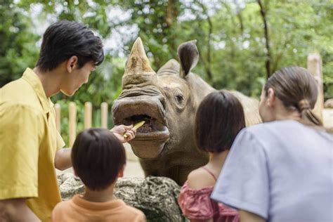 SINGAPORE ZOO (2025) All You Need to Know BEFORE You Go (with Photos)