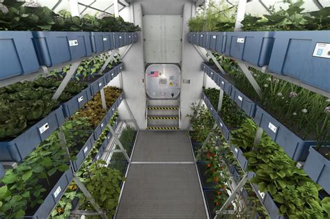 Hydroponic Grow Room on the International Space Station (NASA) Aquaponics Fish, Aquaponics ...