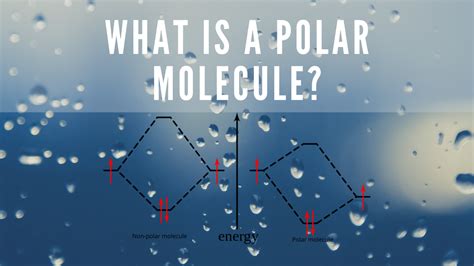 Polar Molecule: Definition And Examples - Science Trends