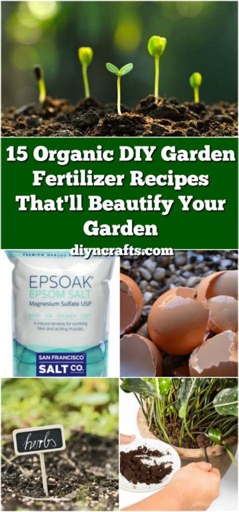 15 diy organic fertilizer recipes for your garden – Artofit