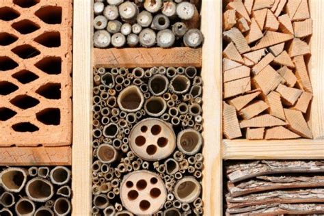 DIY: How to Build an Insect Hotel from Found Materials