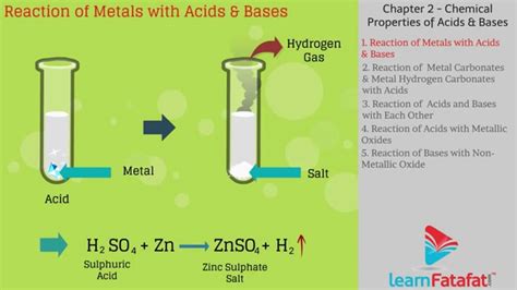 Acid Bases and Salts Class 10 Science CBSE - Chemical Properties of Acids and Bases - YouTube