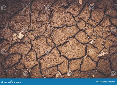 Dry soil texture stock photo. Image of grunge, sepia - 43824436