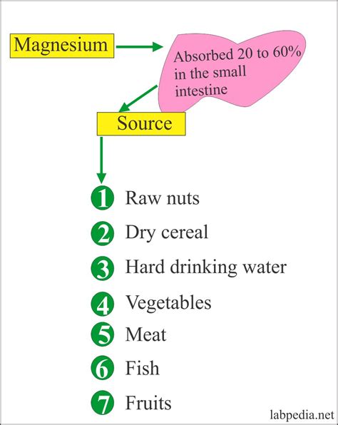 Magnesium level (Mg) - Labpedia.net