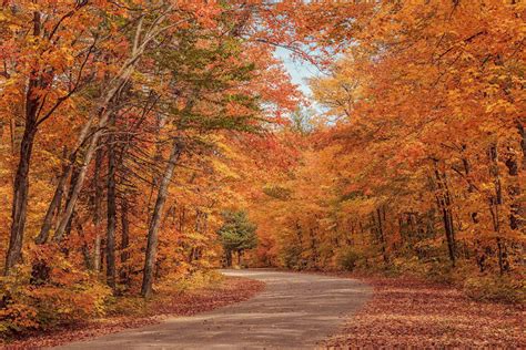 10 places in Canada to see gorgeous fall foliage - Cruiseable