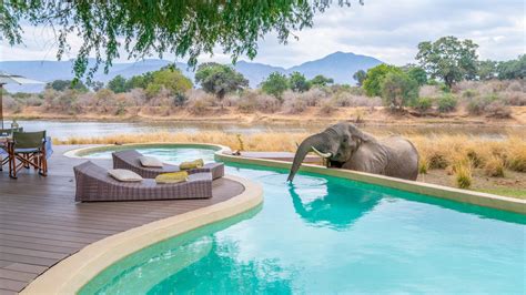 Best luxury African safari lodges for families - The Points Guy