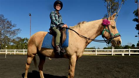 Townsville horse finalist in national competition | Townsville Bulletin