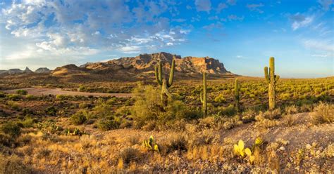 The top five highlights of Southern Arizona | AMA Travel