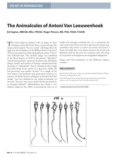 (PDF) The Animalcules of Antoni Van Leeuwenhoek