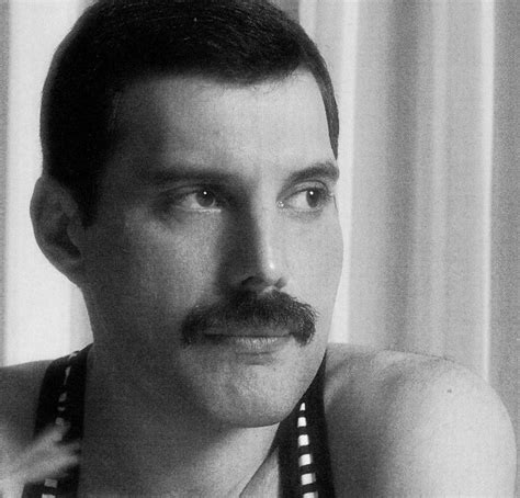 FREDDIE MERCURY | Freddie mercury, Freddie mercury mustache, Mercury