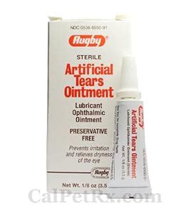 Amazon.com : Artificial Tears Lubricant Eye Ointment, 1/8 oz : Eye Drops : Beauty