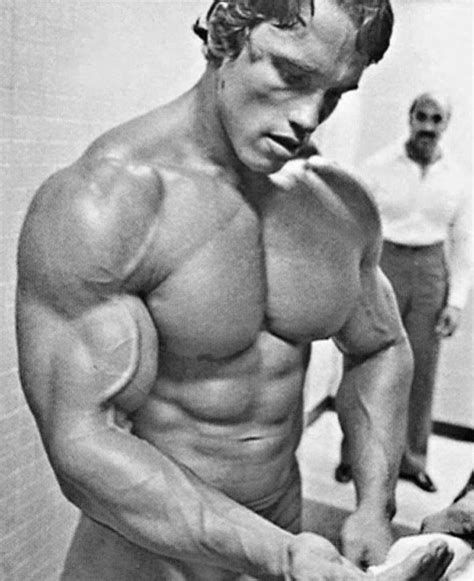 Arnold Schwarzenegger | Bodybuilding motivation, Golden era bodybuilding, Bodybuilding