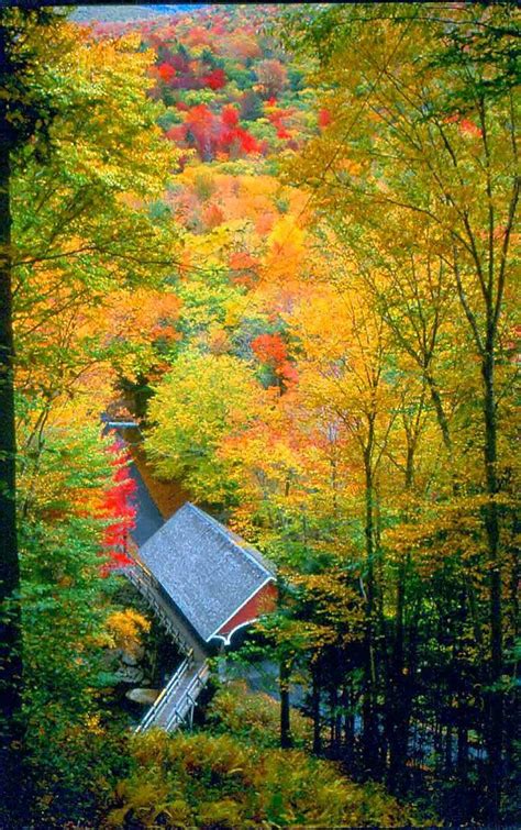 Covered Bridge and Fall Foliage, Franconia Notch State Park, New Hampshire | Covered bridges ...