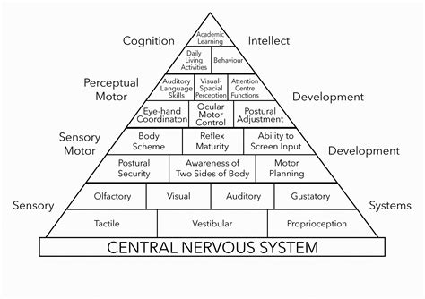 About — Sensory UK