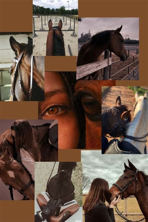 Download Stunning Horse Collage Wallpaper | Wallpapers.com