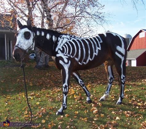 Skeleton Horse Halloween Costume | DIY Costumes Under $65