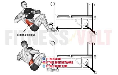 Oblique Twists Exercise