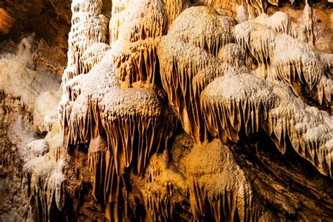 Shenandoah Caverns: Your Guide to Bacon Formations, History & Wine