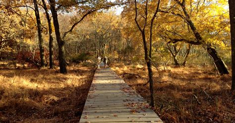 Cheesequake State Park – Green Trail | njHiking.com