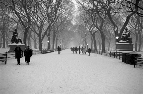 Central Park Winter Wallpaper - WallpaperSafari