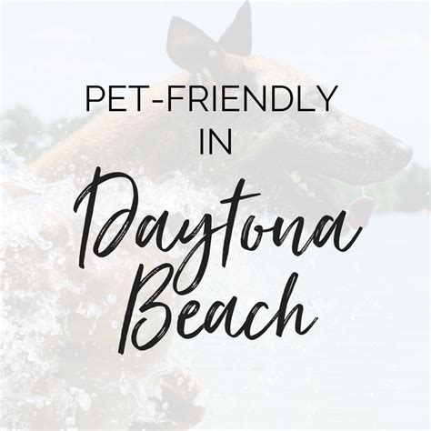 A Pinterest board about pet-friendly places in Daytona Beach, Florida. We are proud to be a pet ...