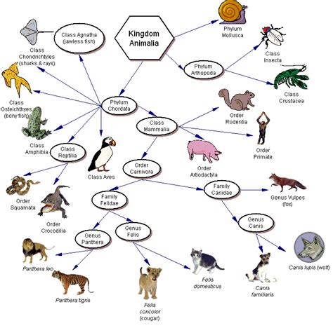 Taxonomy - Interpreting Graphics