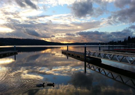 Park Info — Friends of Lake Sammamish State Park Website | Support, Enhance and Promote Lake ...