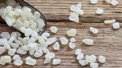 Mastic gum : benefits and secret of the magic resin