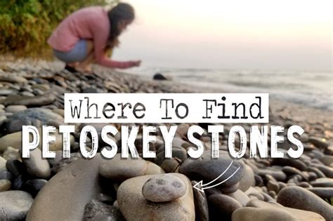 Where to Find Petoskey Stones In Northern Michigan | Great Lakes Locals | Petoskey michigan ...