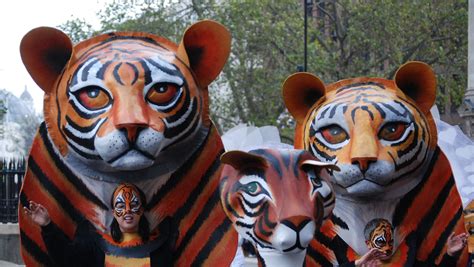 Free Images : carnival, mammal, parade, mask, tiger, carving, costume ...