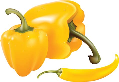 Pepper Transparent File - PNG Play