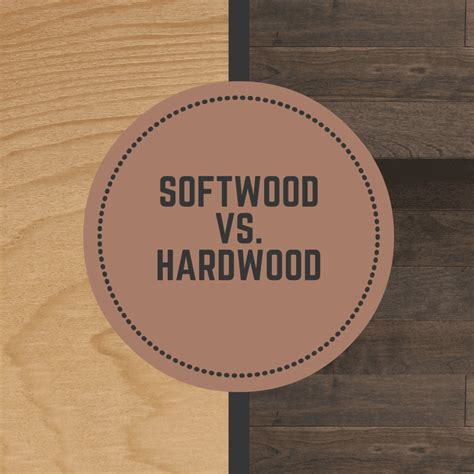 Hardwood Vs. Softwood and Their Characteristics - MultiCam CanadaMultiCam Canada