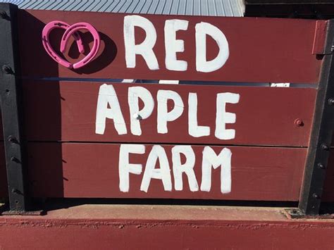 Red Apple Farm (Phillipston, MA): Top Tips Before You Go (with Photos) - TripAdvisor