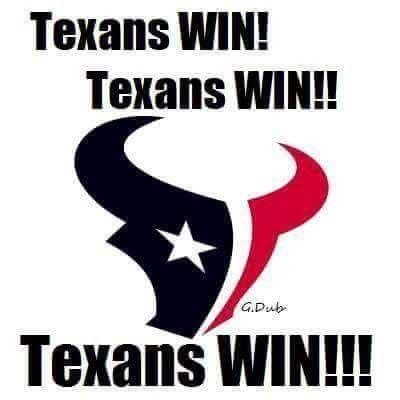 Pin by Judy Aldrighetti on Texans | Houston football, Houston texans ...